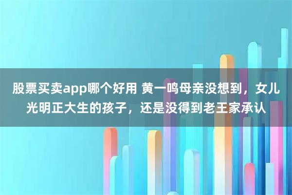股票买卖app哪个好用 黄一鸣母亲没想到，女儿光明正大生的孩子，还是没得到老王家承认